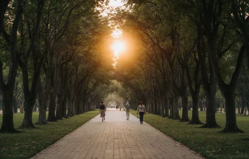 Exterior of the Vietnam National Convention Center under clear daylight.